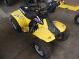 Miniaturansicht von Suzuki Quad Runner petrol children's quad