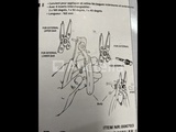 Thumbnail of Circlip pliers with extra jaws
