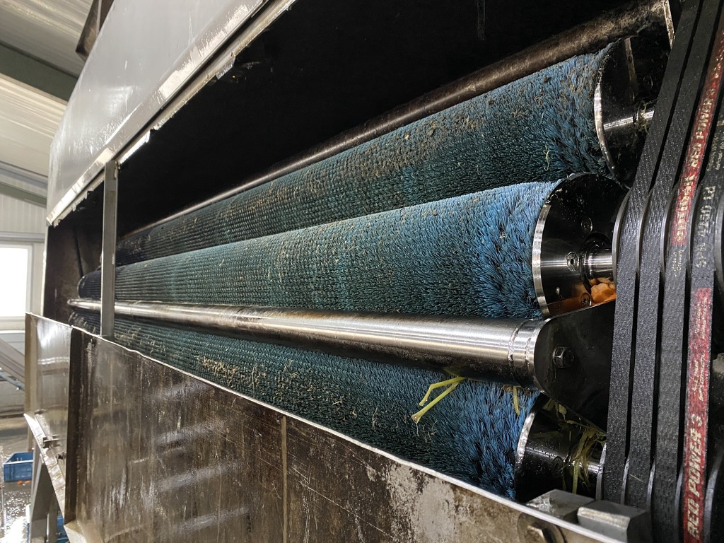 RVS trommelwasser borstelmachine wortel aardappel