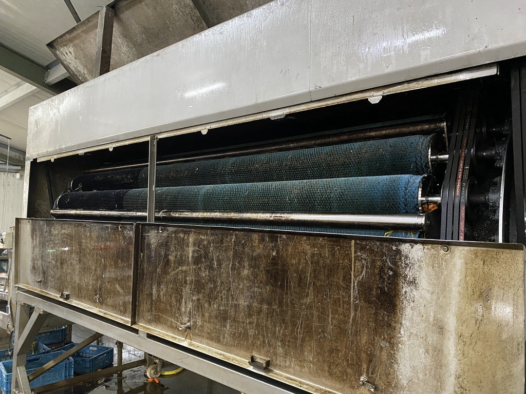 RVS trommelwasser borstelmachine wortel aardappel