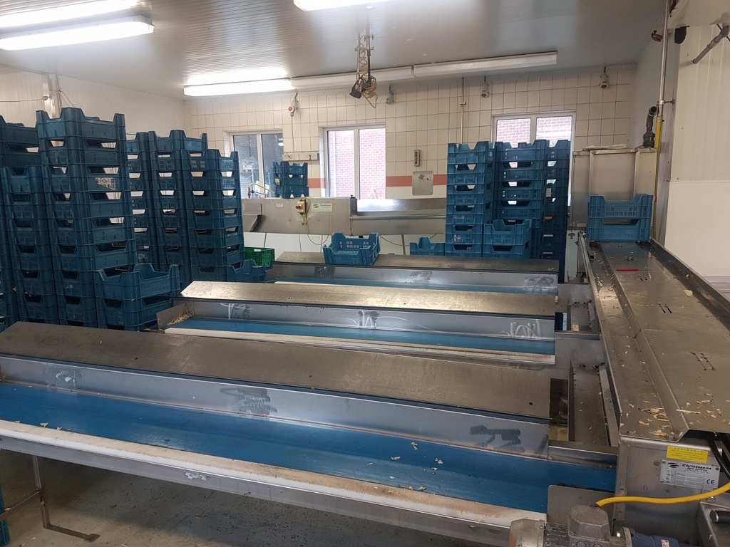 Christiaens asperges sorteermachine