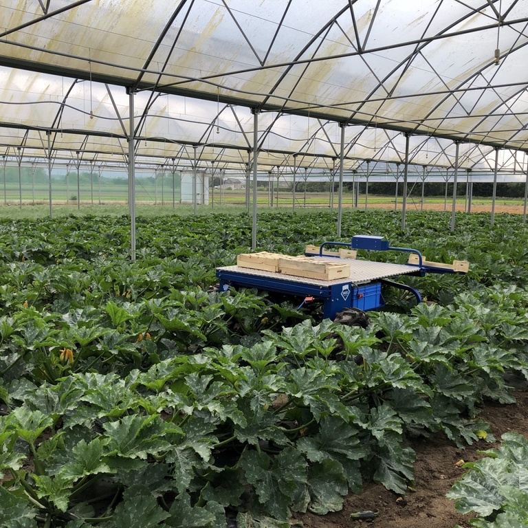 Engels multispin oogsthulp