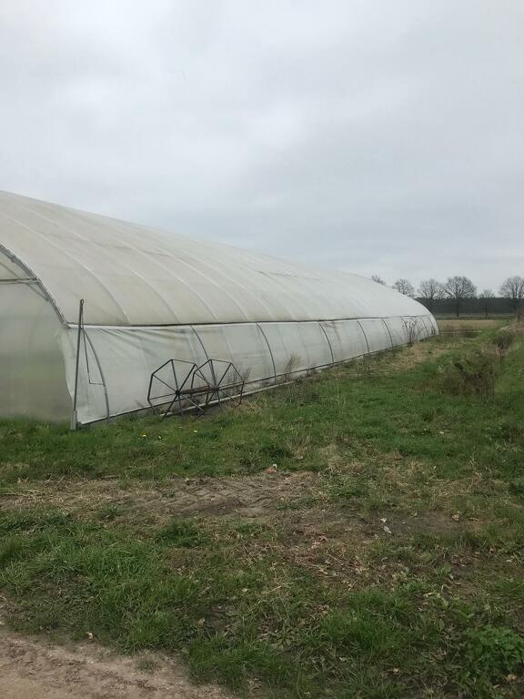 tunnelkas broeikas kweekkas serre