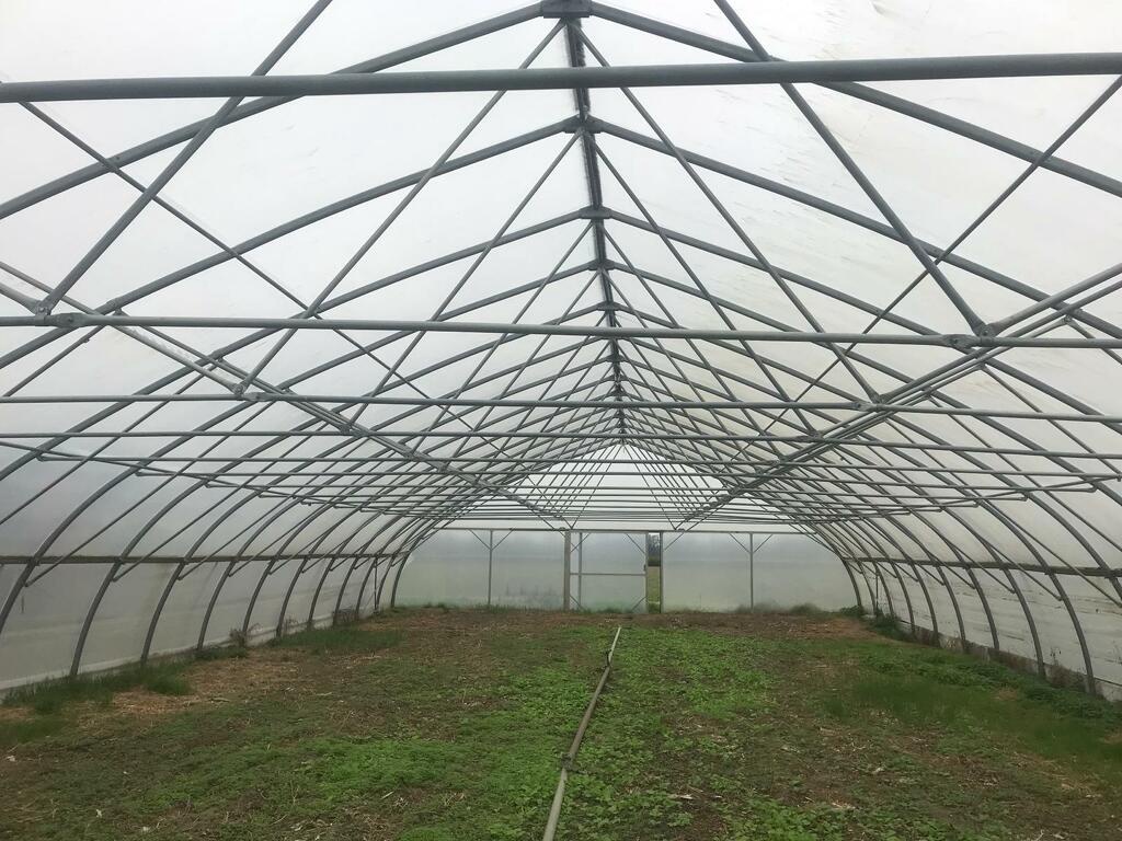 tunnelkas broeikas kweekkas serre