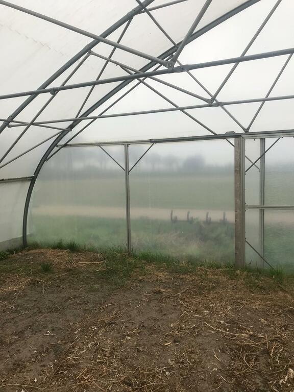 tunnelkas broeikas kweekkas serre