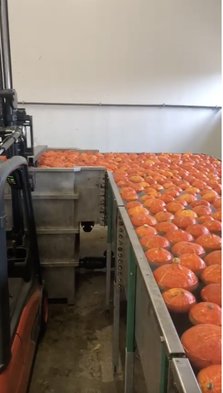 Pompoenenwasser borstelmachine