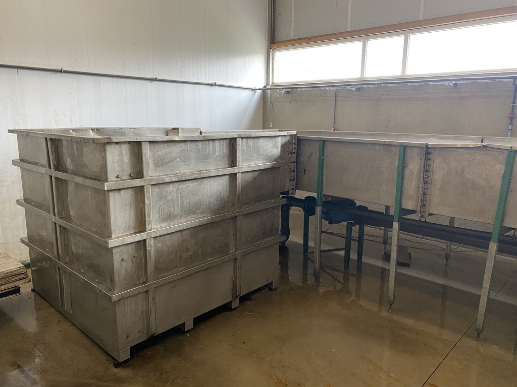 Pompoenenwasser borstelmachine