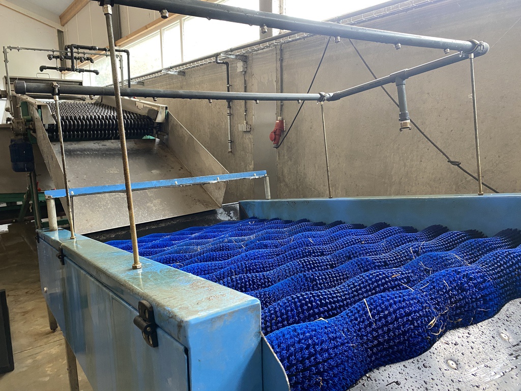 Pompoenenwasser borstelmachine