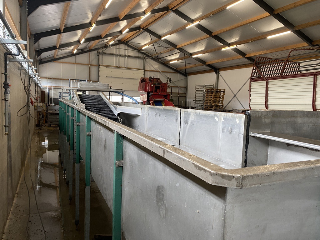 Pompoenenwasser borstelmachine