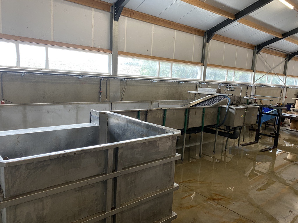 Pompoenenwasser borstelmachine