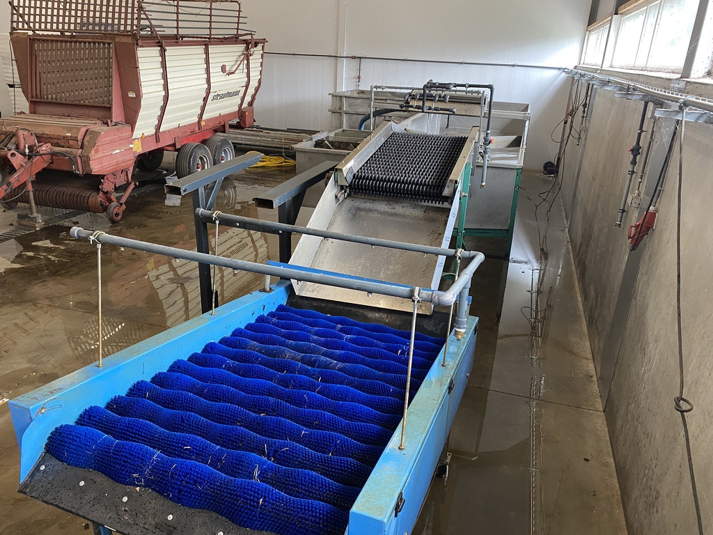 Pompoenenwasser borstelmachine