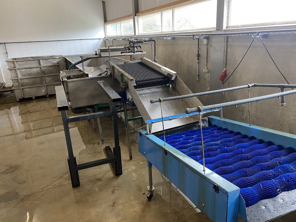 Pompoenenwasser borstelmachine