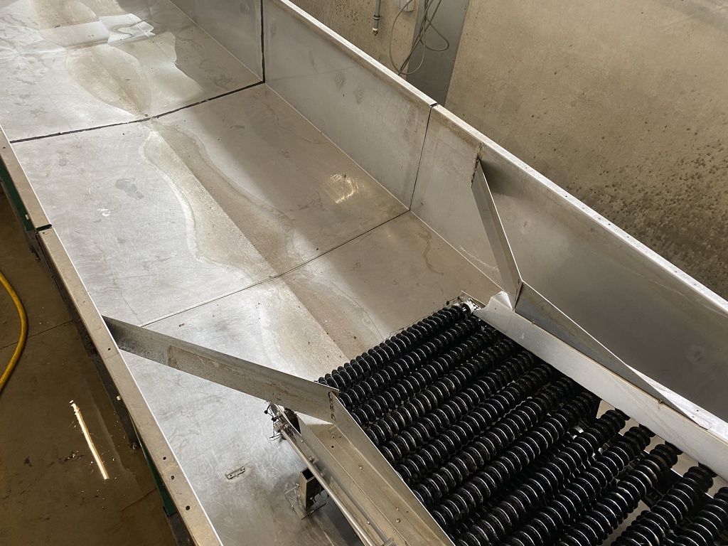 Pompoenenwasser borstelmachine