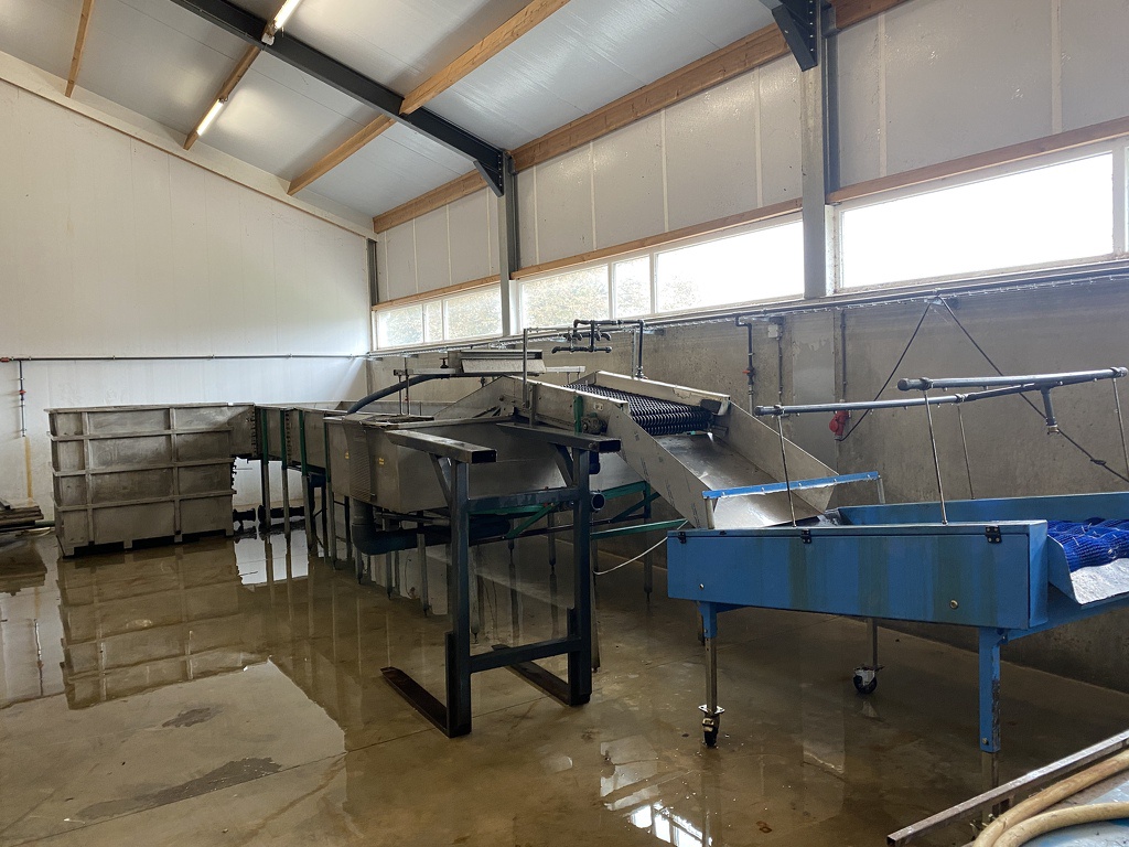 Pompoenenwasser borstelmachine