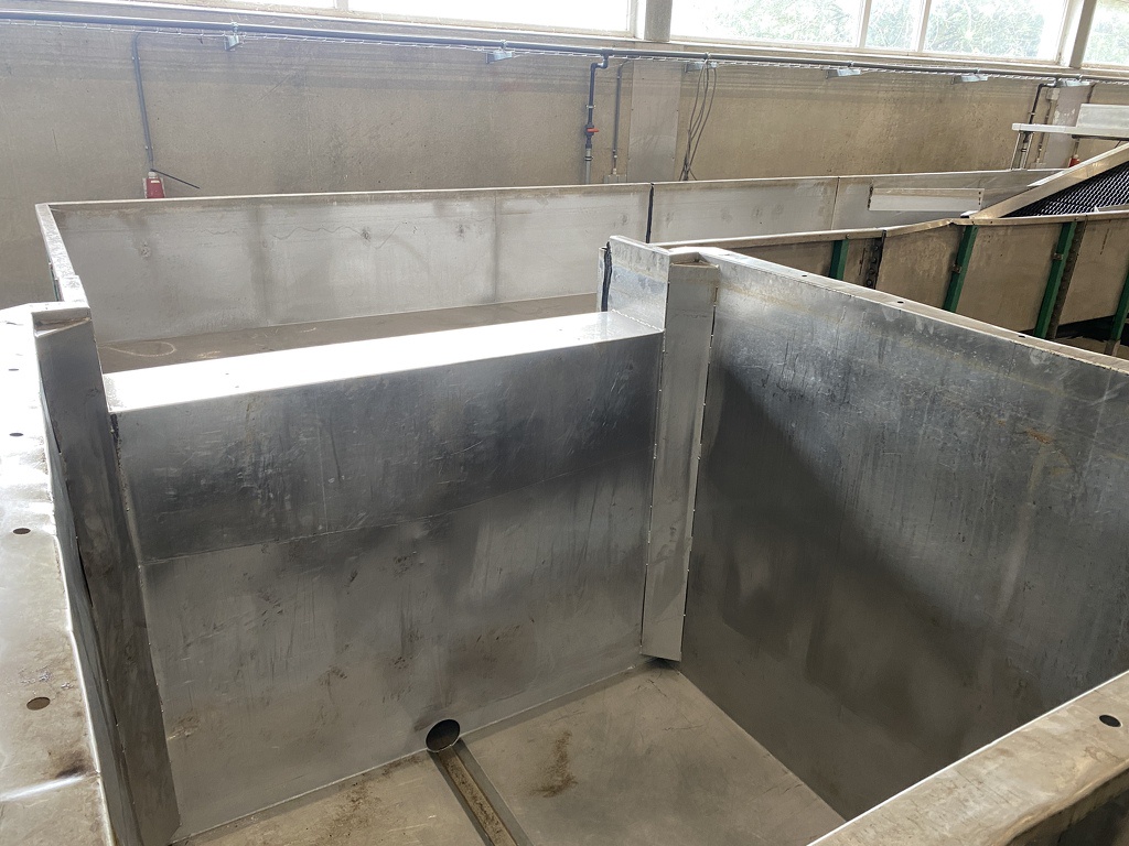 Pompoenenwasser borstelmachine