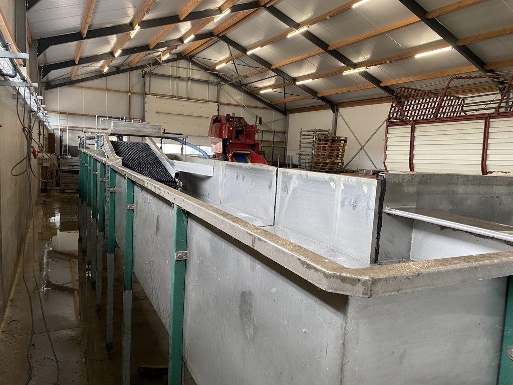 Pompoenenwasser borstelmachine