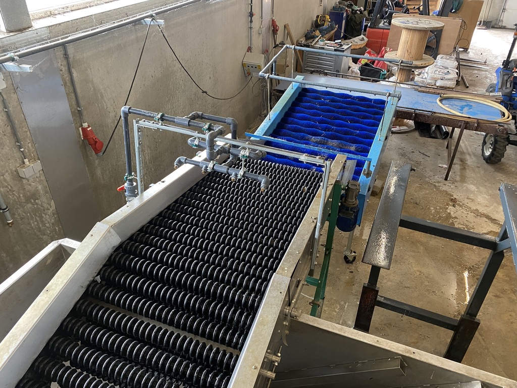 Pompoenenwasser borstelmachine