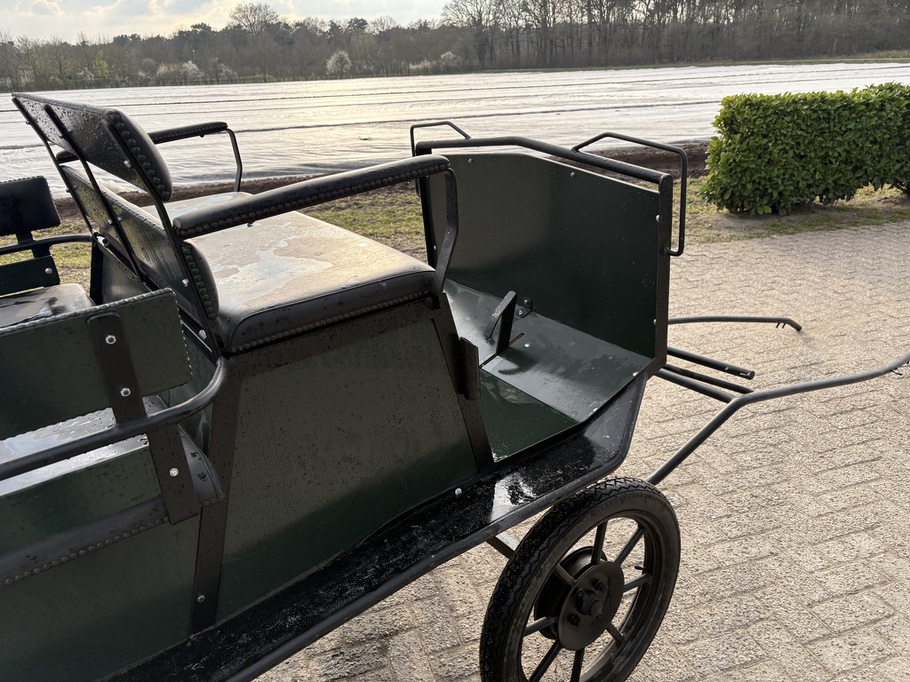 Koets sjees rijtuig menwagen