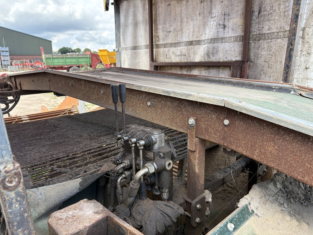 Zoete aardappel bataat rooier