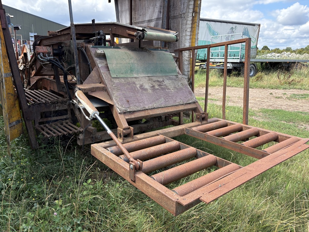 Zoete aardappel bataat rooier