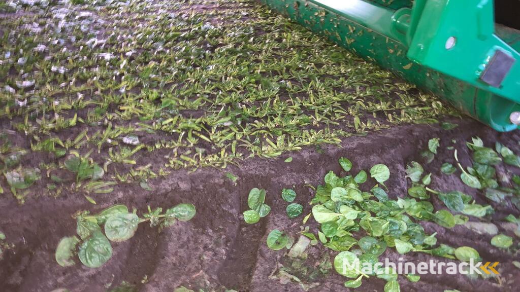 Ortomec bladgroente oogstmachine