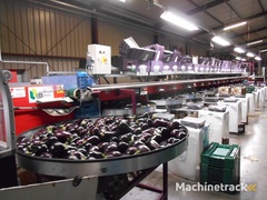 aweta-gs-9-sorteerder-aubergine-komkommer-etc.