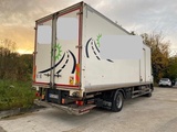Minituur van DAF LF