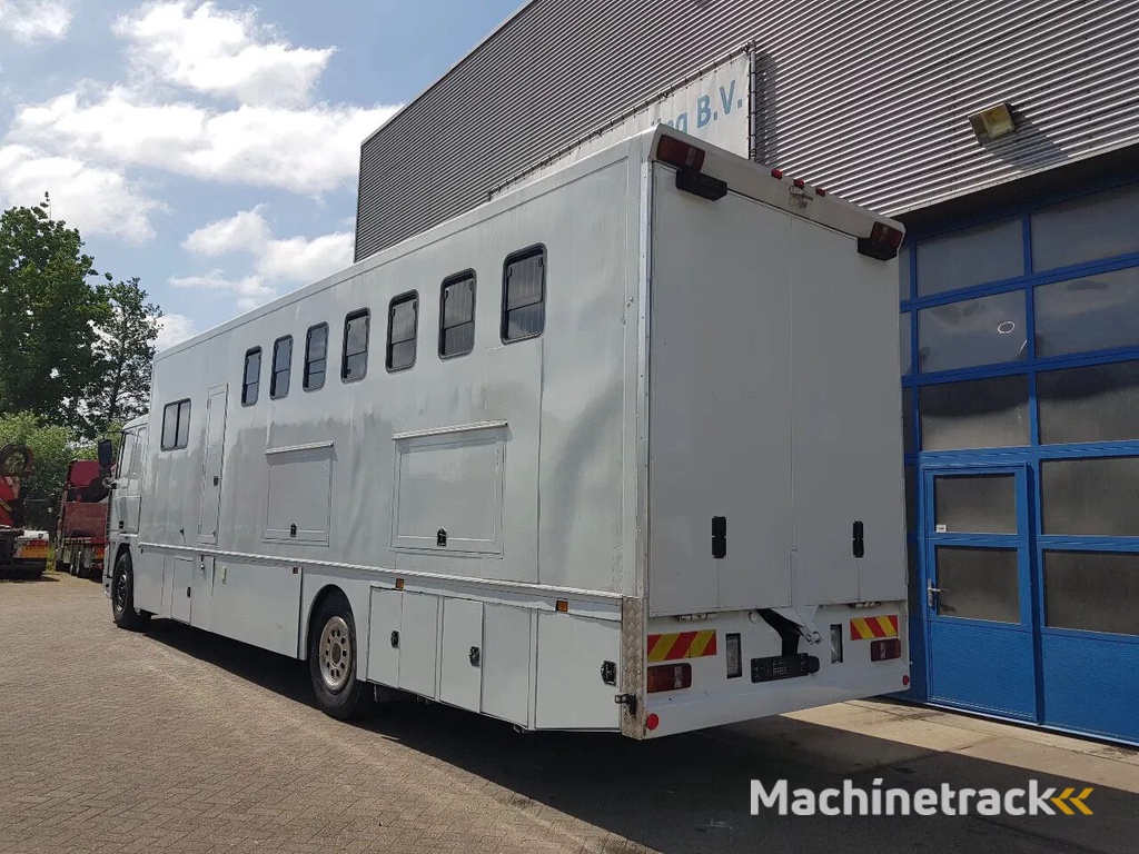 DAF 95.350 Paardenwagen met zitverblijf 7 paarden 7 horses horse truck