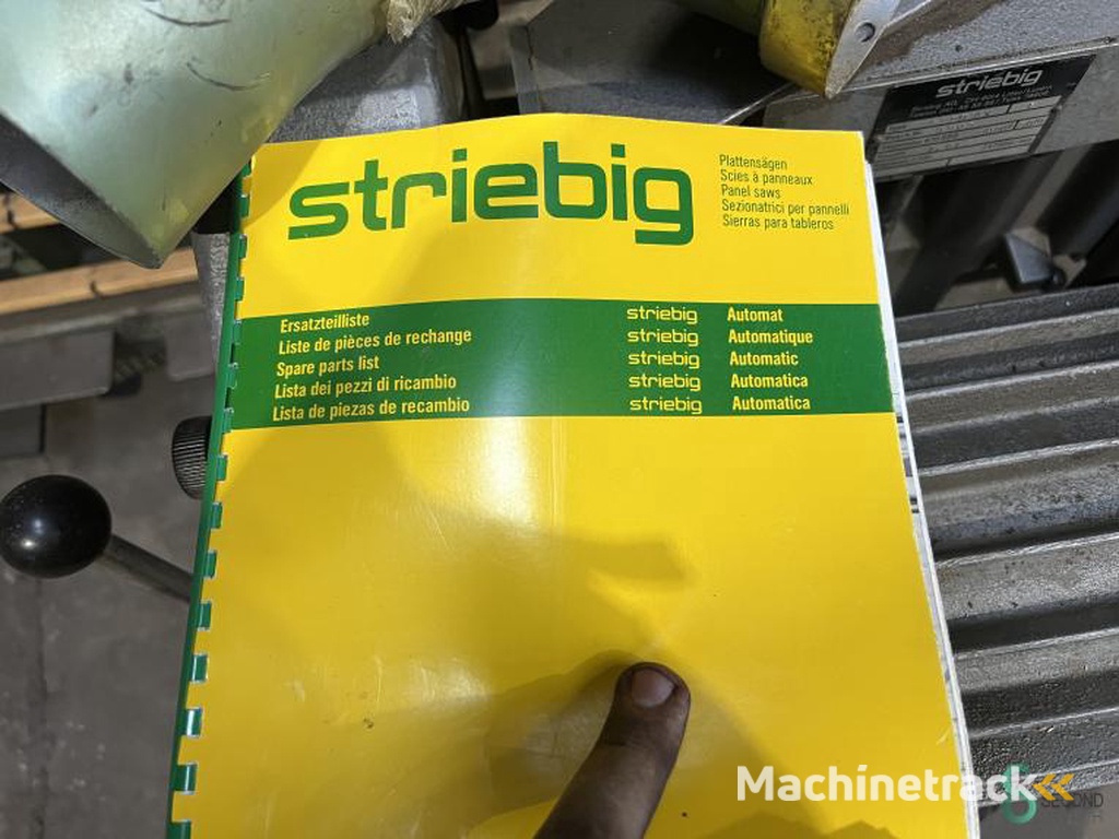 Vertikale Plattensägen Striebig Automat 6220AV 1981