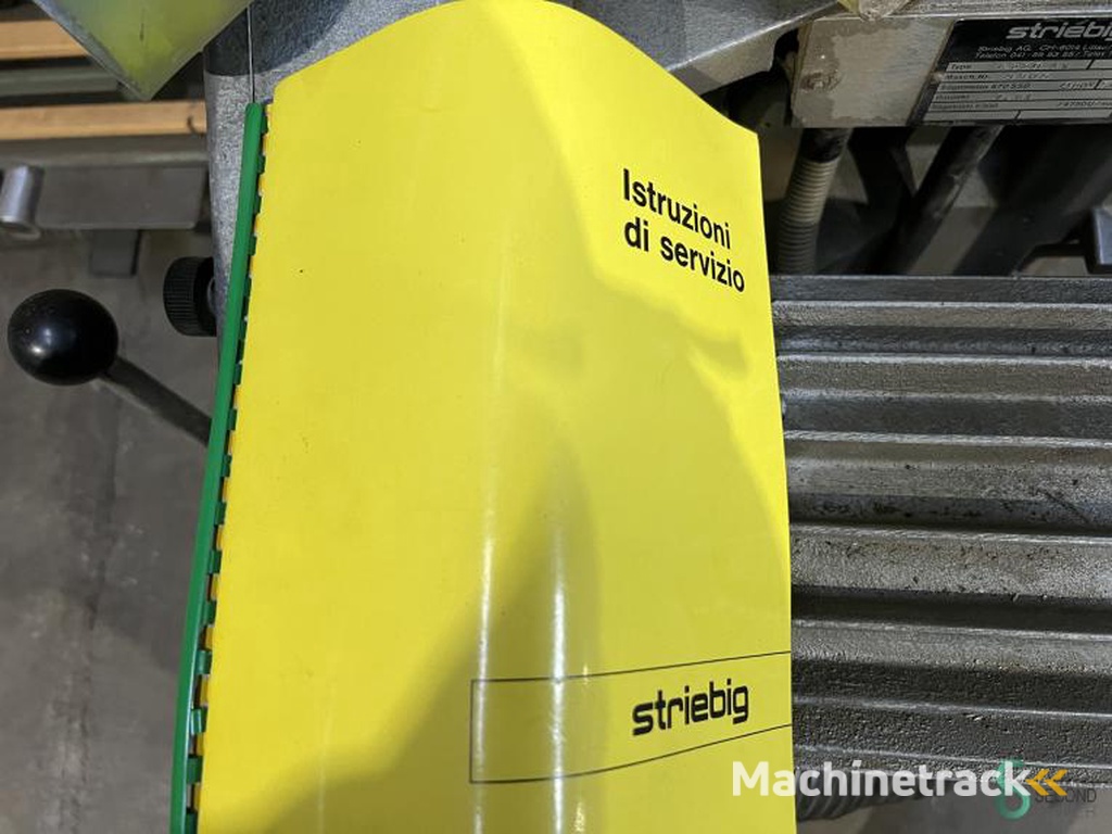 Vertikale Plattensägen Striebig Automat 6220AV 1981