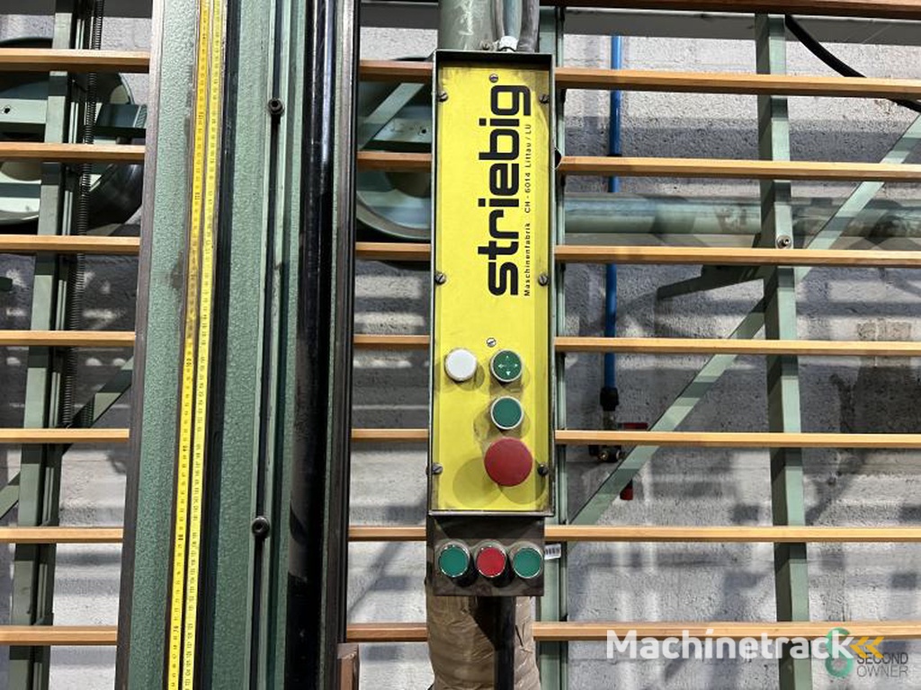 Vertikale Plattensägen Striebig Automat 6220AV 1981