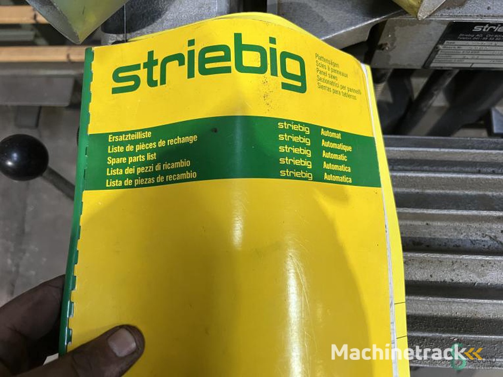 Vertikale Plattensägen Striebig Automat 6220AV 1981