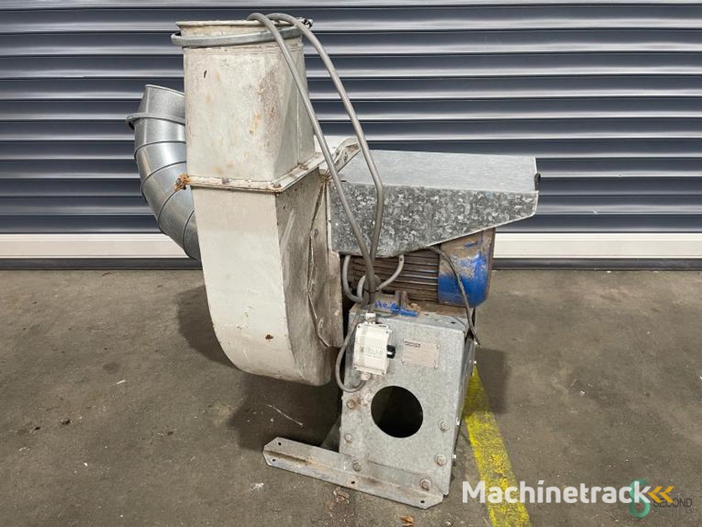 Fans Modesta MT30252 1999