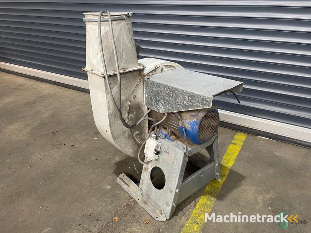 Fans Modesta MT30252 1999