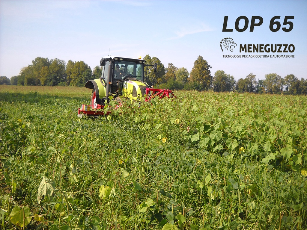 Kramer MENEGUZZO onkruid maaier