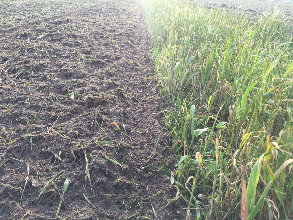 JBM mulch mechanische onkruid verschillende breedtes beschikbaar