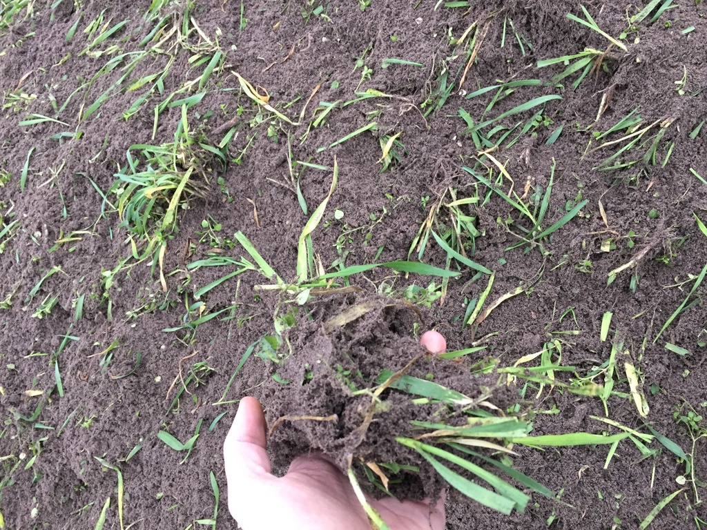 JBM mulch mechanische onkruid verschillende breedtes beschikbaar