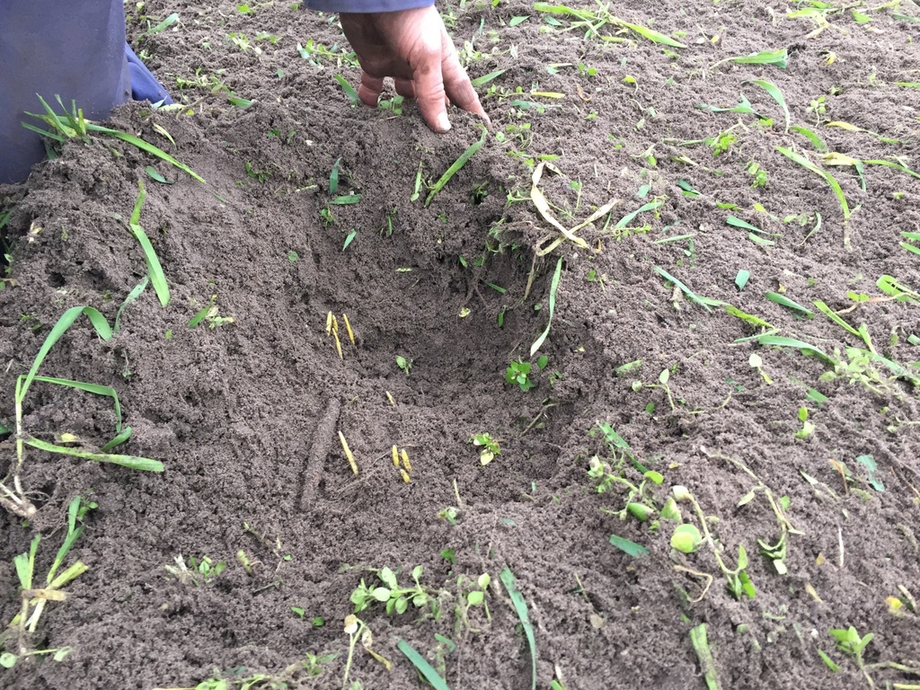 JBM mulch mechanische onkruid verschillende breedtes beschikbaar