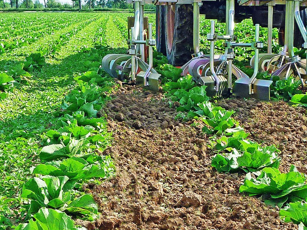 Kramer OLIVER AGRO ROTOR SCHOFFEL ROTOR SCHOFFEL