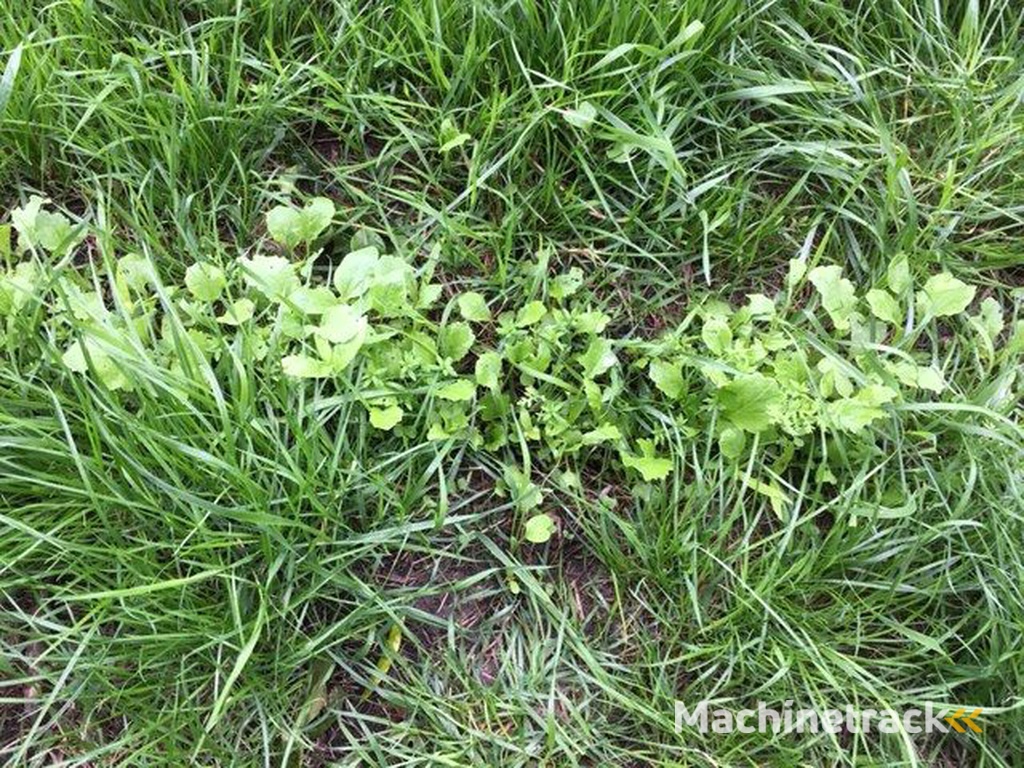 Multifit doorzaaien kruidige gewassen verschillden soorten bakjes frees