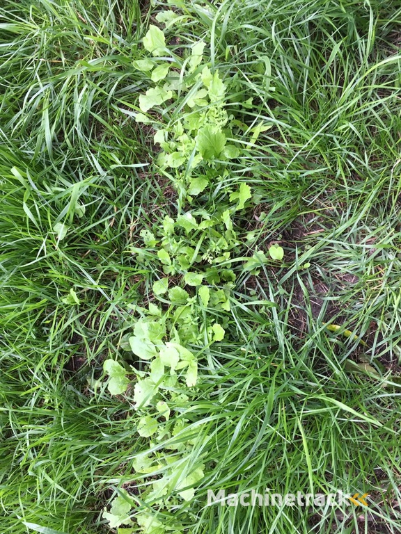 Multifit doorzaaien kruidige gewassen verschillden soorten bakjes frees