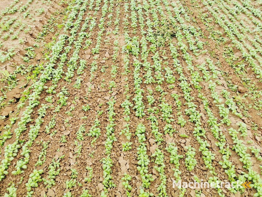 Kramer OLIVER AGRO ROTOR SCHOFFEL ROTOR SCHOFFEL