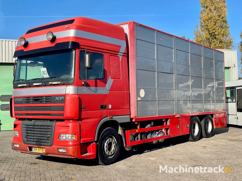 DAF XF 95.430 BERDEX 3 decks. Water, fans, Scales! Excellent condition.