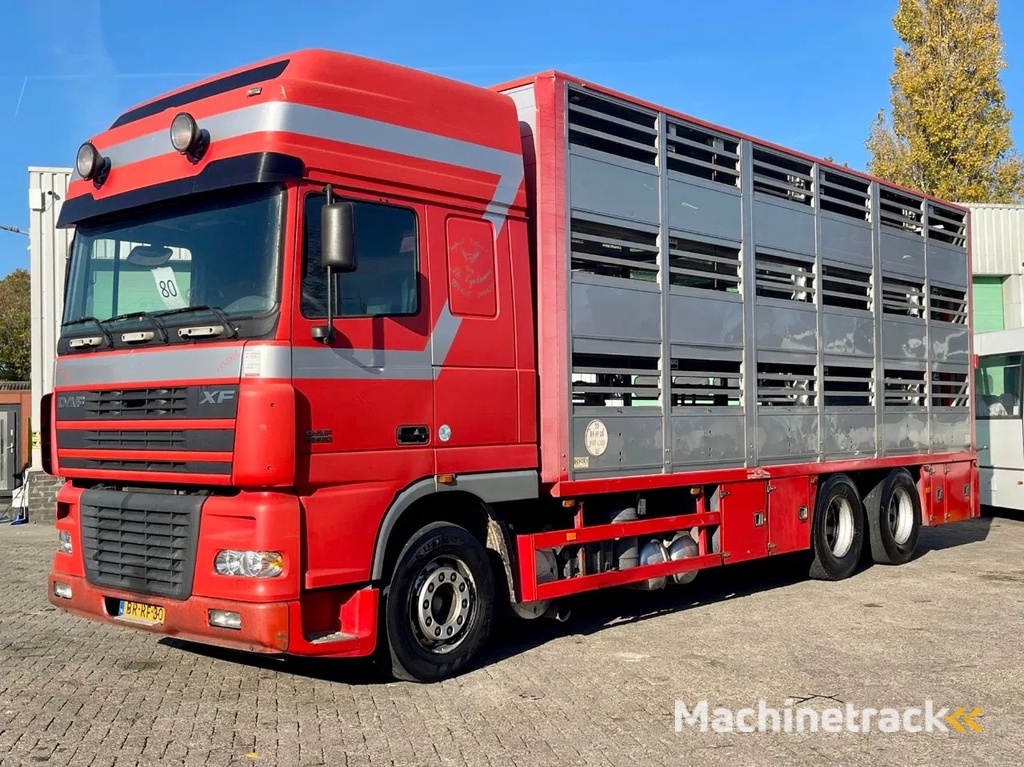DAF XF 95.430 BERDEX 3 decks. Water, fans, Scales! Excellent condition.