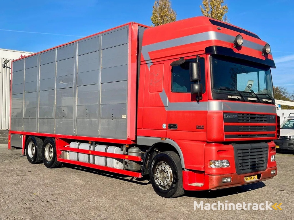 DAF XF 95.430 BERDEX 3 decks. Water, fans, Scales! Excellent condition.