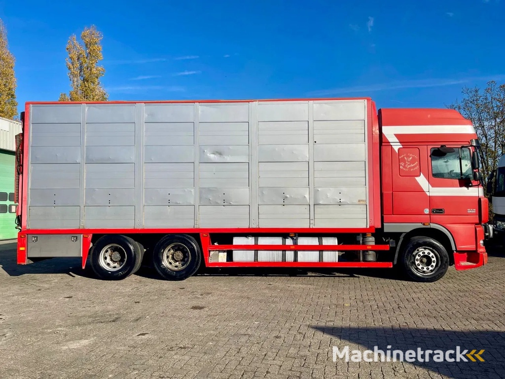 DAF XF 95.430 BERDEX 3 decks. Water, fans, Scales! Excellent condition.