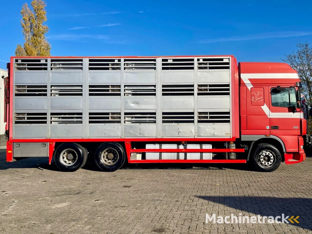 DAF XF 95.430 BERDEX 3 decks. Water, fans, Scales! Excellent condition.