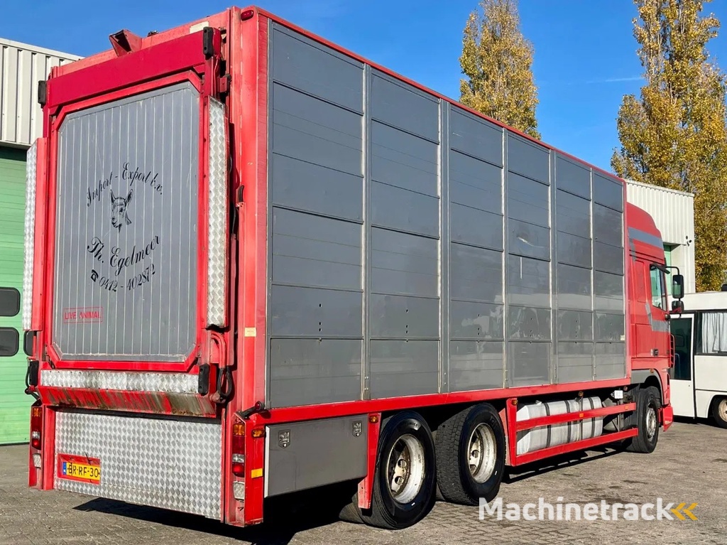 DAF XF 95.430 BERDEX 3 decks. Water, fans, Scales! Excellent condition.