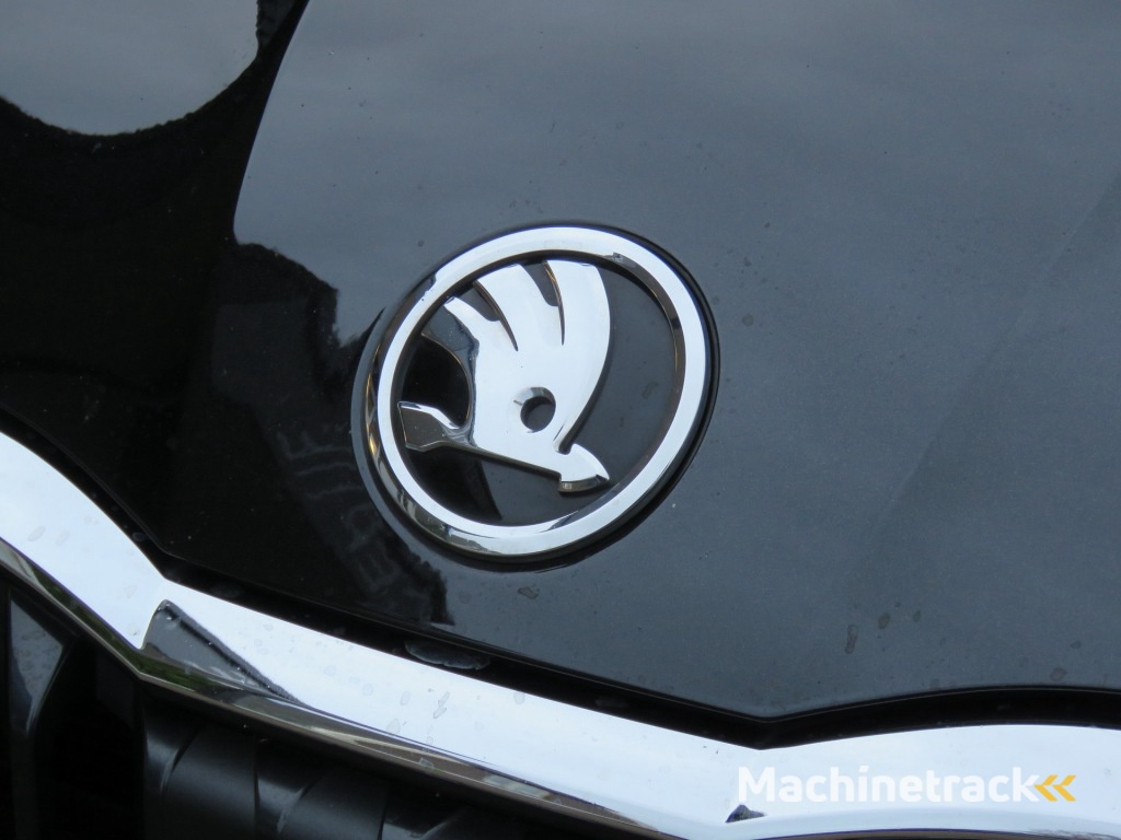 Skoda Scala 1.0 TSI 115pk Ambition / 17 Inch / Cruise / BOVAG garantie