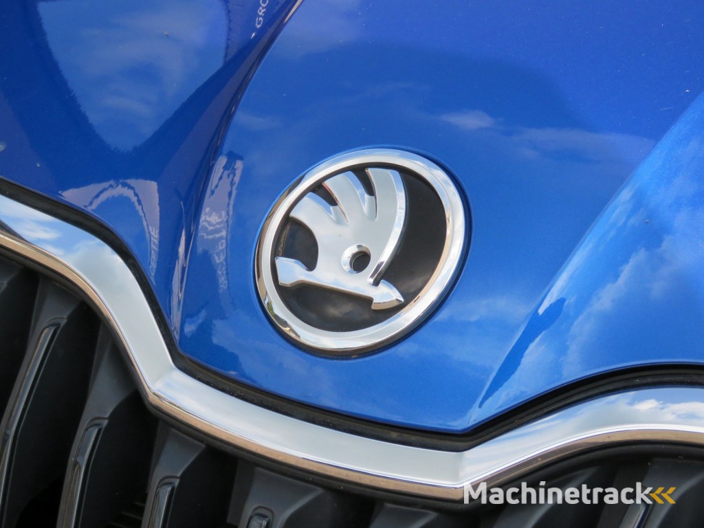 Skoda Fabia 1.0 TSI BUS. EDITION / Trekhaak / Carplay / Cruise / Sportvelgen / BOVAG garantie